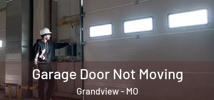  Garage Door Not Moving Grandview - MO