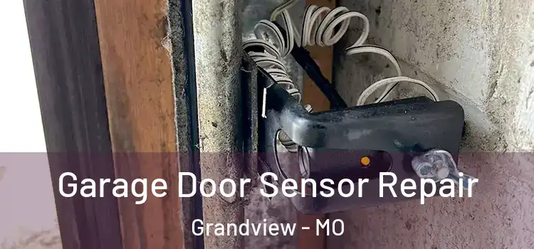 Garage Door Sensor Repair Grandview - MO